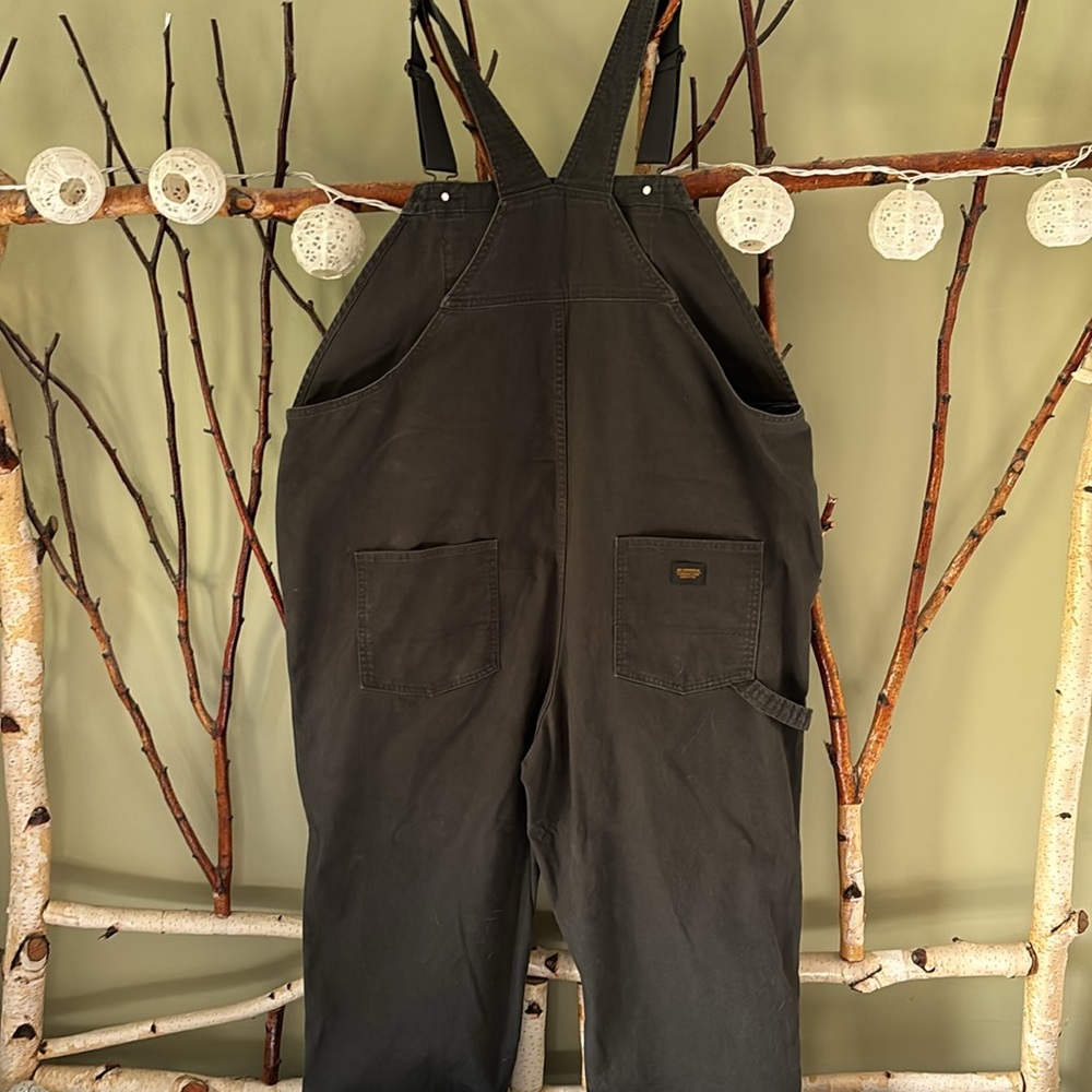 REI cooperative overalls. - Picture 2 of 11